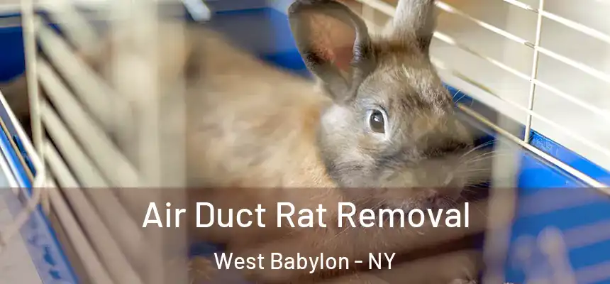 Air Duct Rat Removal West Babylon - NY