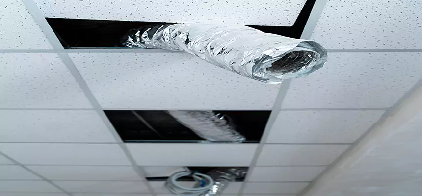 Our Air Duct Pet Hair Removal Services in West Babylon, NY