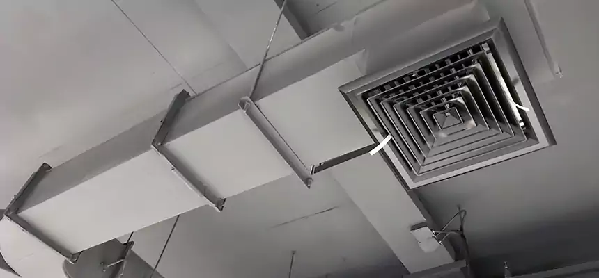 Restorative Allergy Relief Vent Cleaning – Coil, Blower & Housing Detail in West Babylon