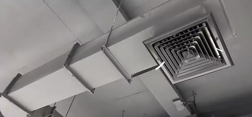 Our Pest Removal From Ducts Services in West Babylon, NY