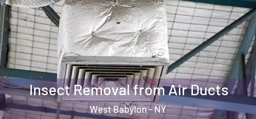 Insect Removal from Air Ducts West Babylon - NY