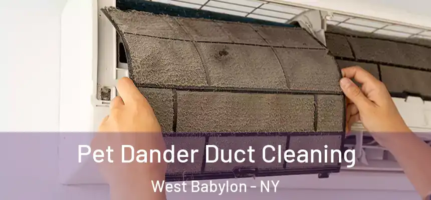 Pet Dander Duct Cleaning West Babylon - NY
