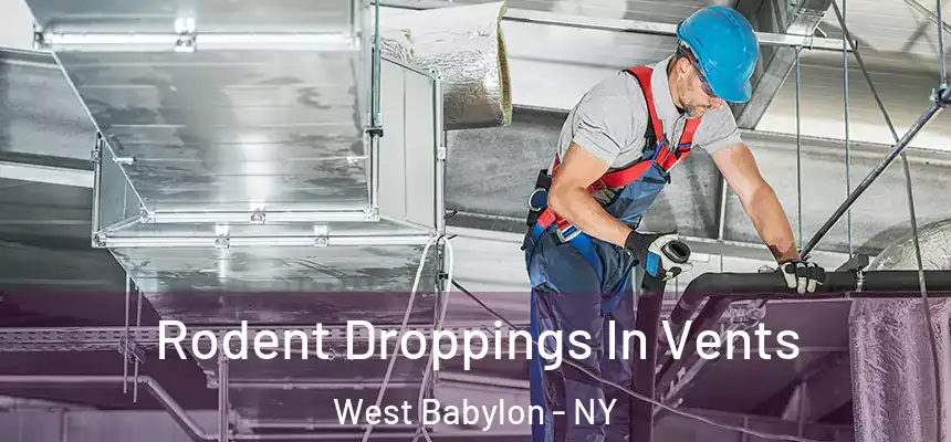  Rodent Droppings In Vents West Babylon - NY