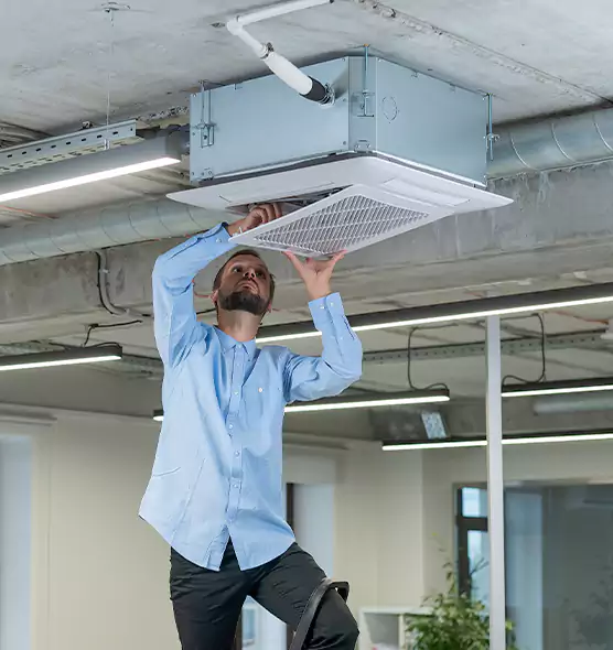 Advanced Rodent Droppings In Vents in West Babylon, NY