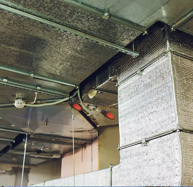 Why Homeowners & Businesses Trust Us West Babylon, NY?