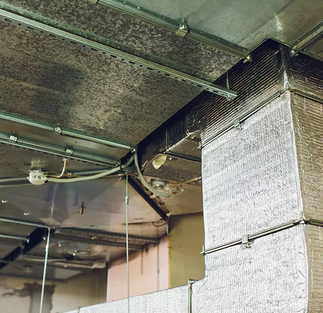 Why Homeowners & Businesses Trust Us in West Babylon, NY?